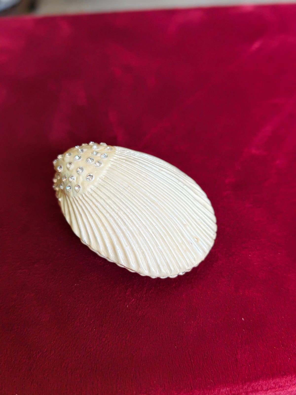 Big shell shaped