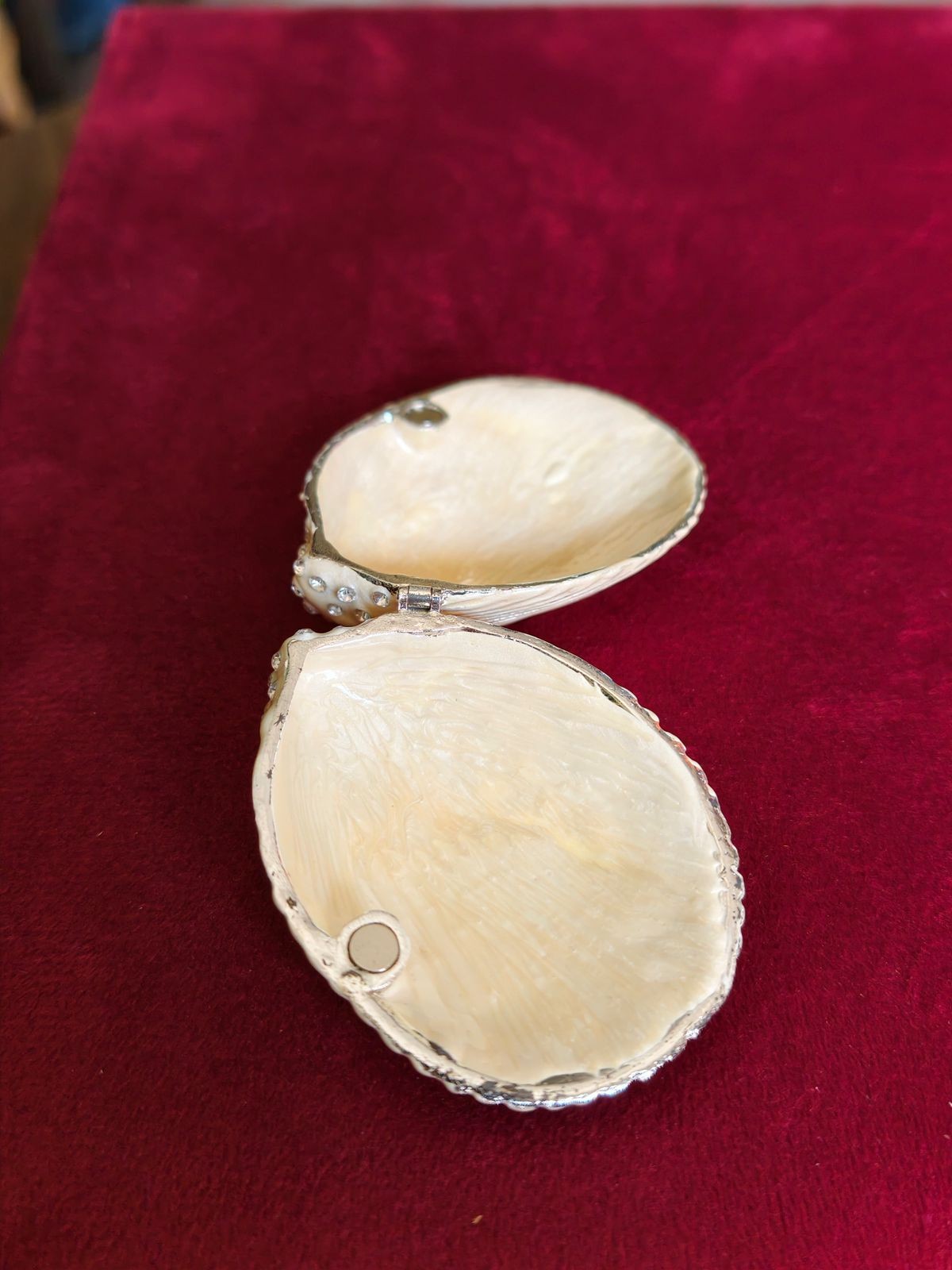 Big shell shaped, photo 3
