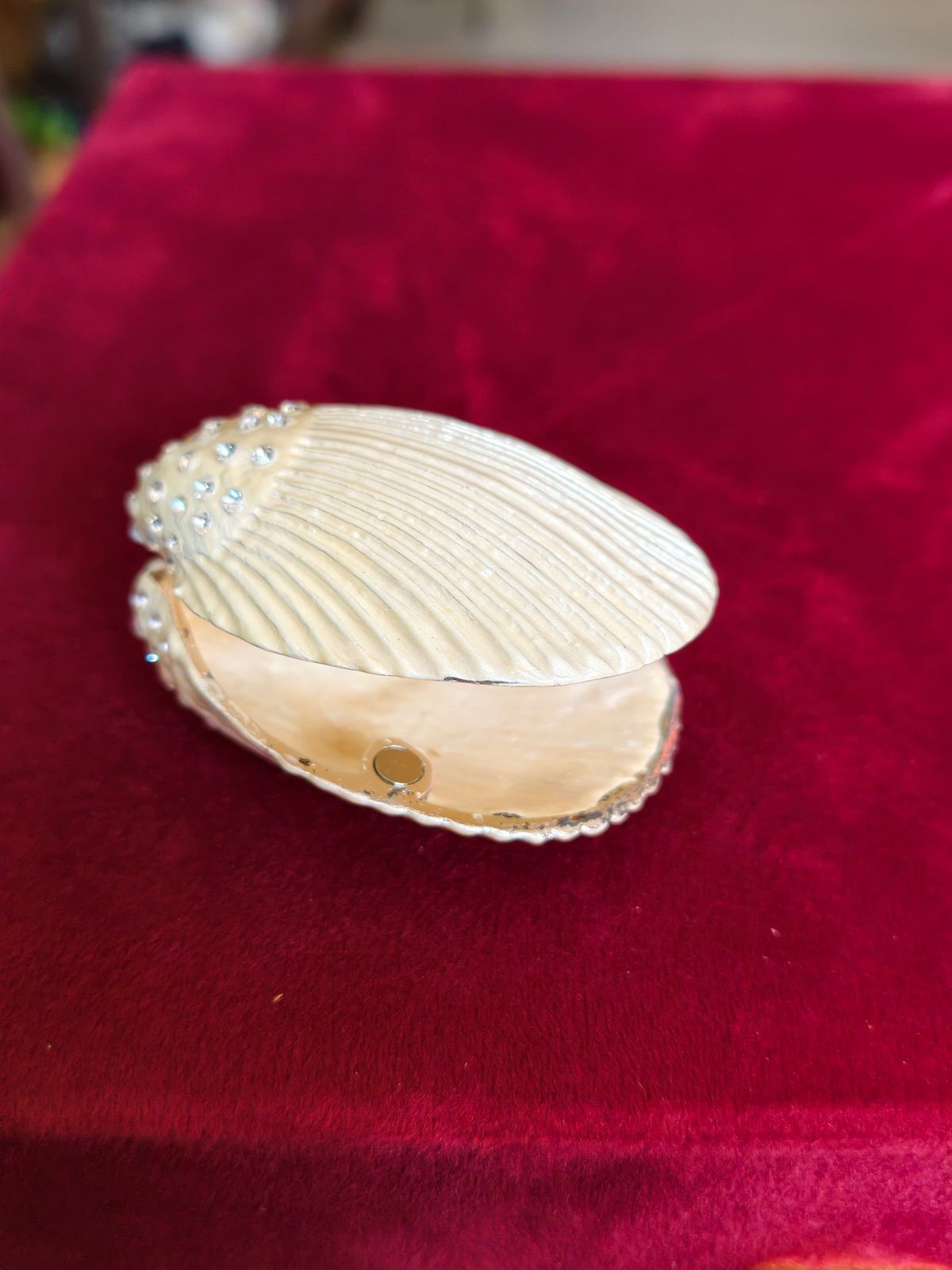 Big shell shaped, photo 2